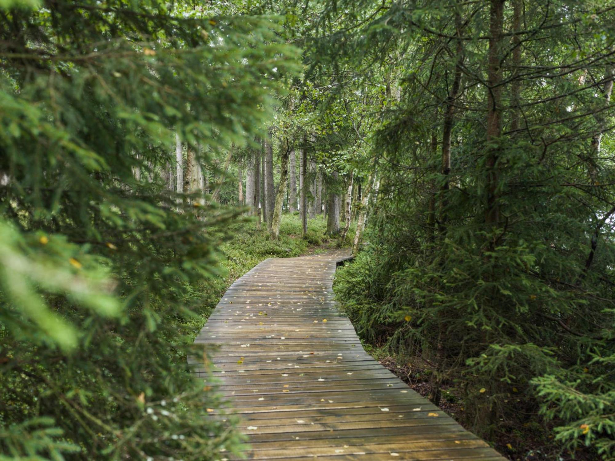Falkensteiner Spa Resort 玛丽亚温泉 外观 照片 The boardwalk at the end of the trail